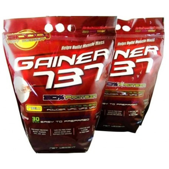 Gainer 737